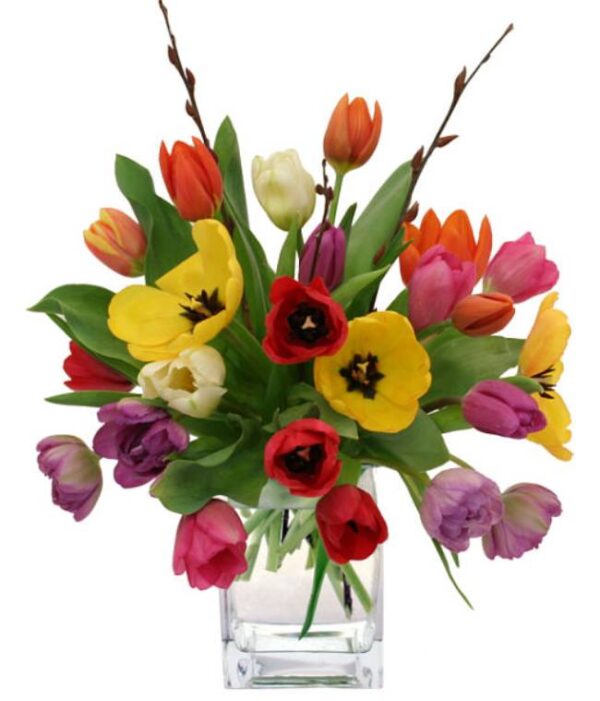 Colorbloom Special Bouquet